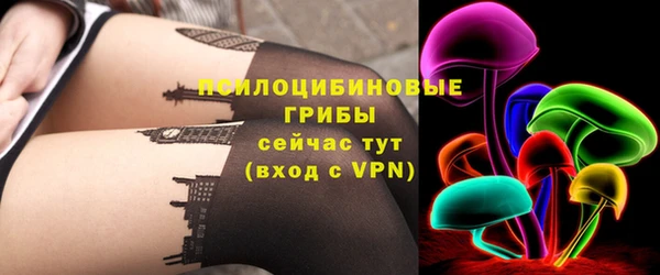 дживик Абаза