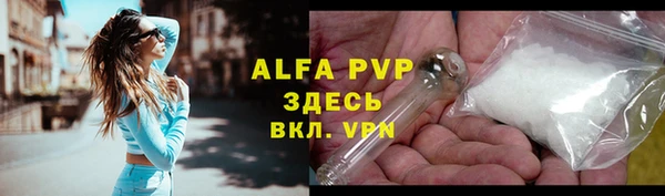 дживик Абаза