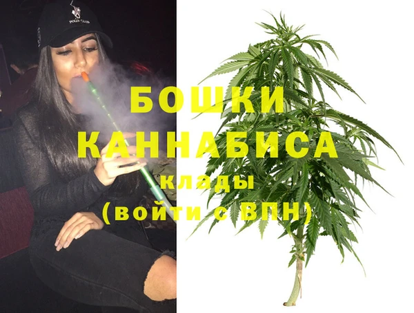 PSILOCYBIN Абдулино