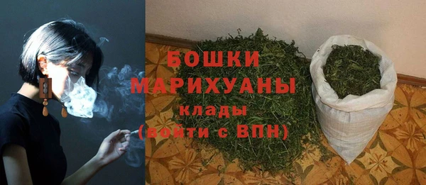 PSILOCYBIN Абдулино
