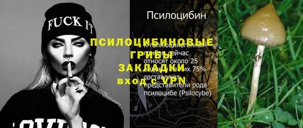 дживик Абаза