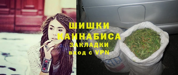 PSILOCYBIN Абдулино