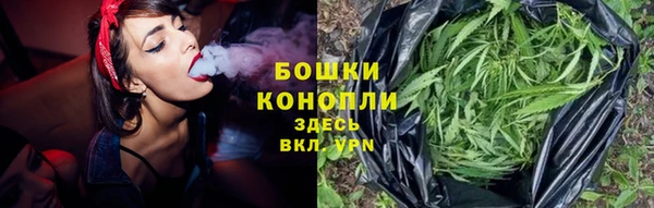 PSILOCYBIN Абдулино