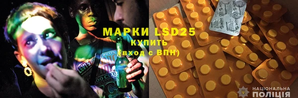 PSILOCYBIN Абдулино