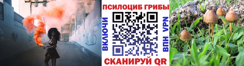 Галлюциногенные грибы Cubensis  МЕГА   Томилино 